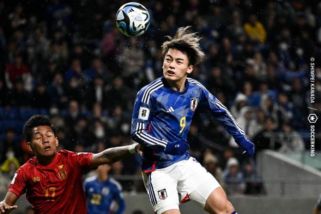 显示内容驱 显示内容驱